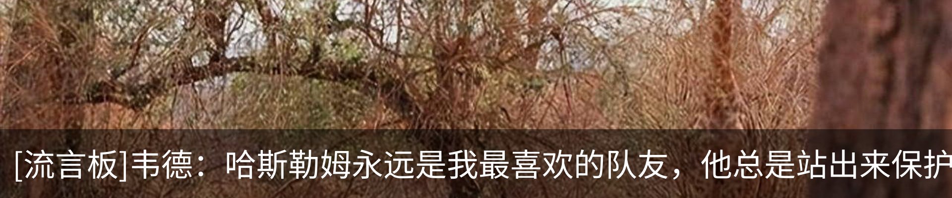 内页banner